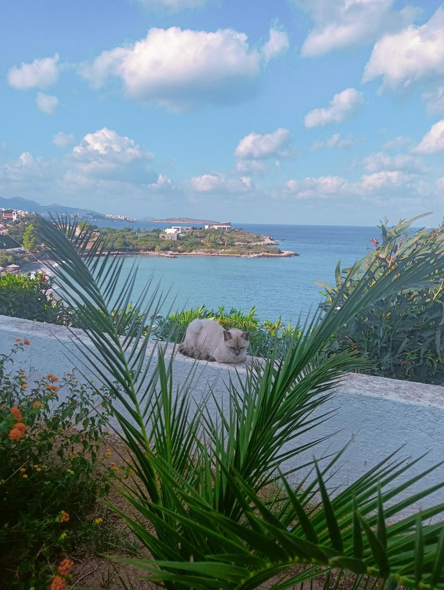 Residence Gerani Amoudara  外观 照片
